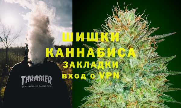 spice Осинники