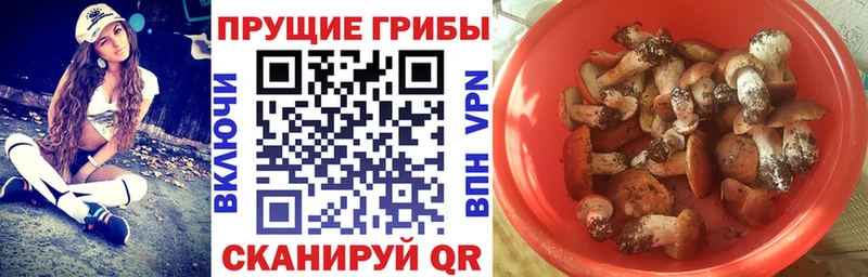 omg как войти  Обоянь  darknet Telegram  где купить   Псилоцибиновые грибы ЛСД 